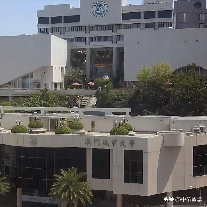 2024年澳门全年免费大全,统计材料解释设想_PLD50.219教育版