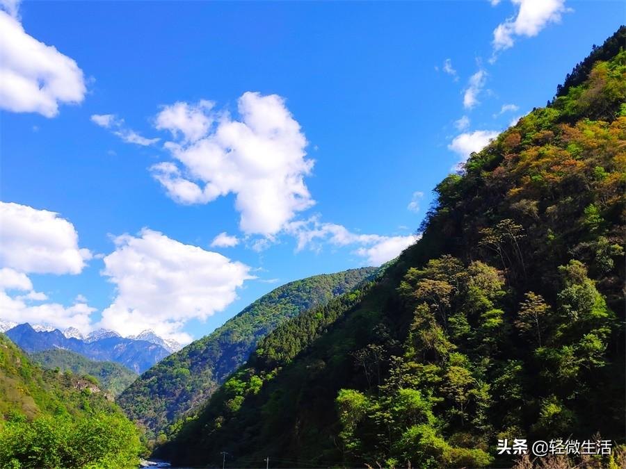 喇叭河最新路况及其观点论述