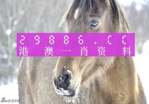 澳门精准一肖一码100%我问问90297聪明,快速解答方案实践_UKJ50.193优雅版