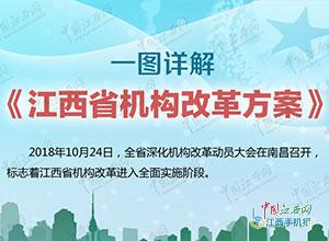 绿色变革中的自信与成就感，美丽生态最新公告发布