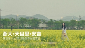 优酷最新电影，自然美景之旅，探寻内心平和宁静的旅程