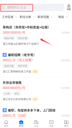 湛江招聘网最新招聘信息汇总，观点论述与求职指南