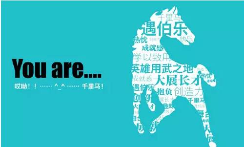涿州最新招聘信息汇总，探索自然美景之旅，寻找内心宁静之乐