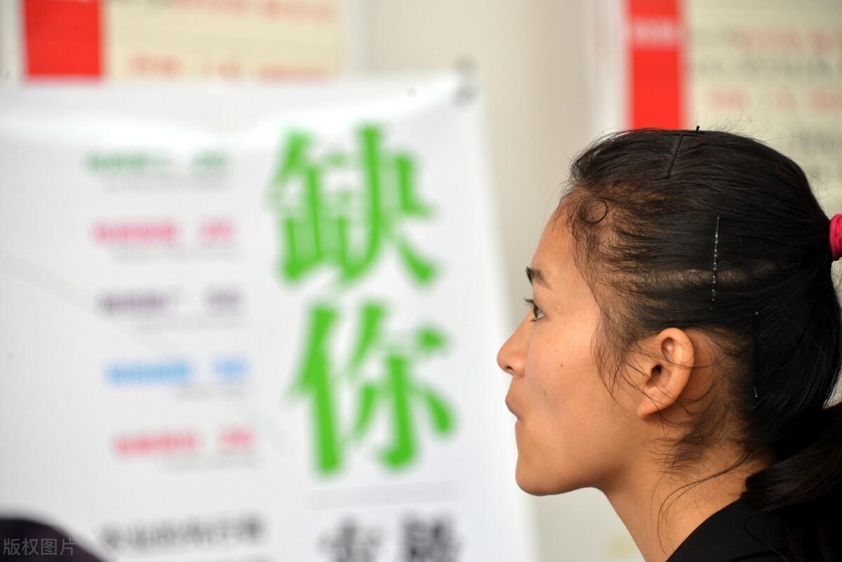 凌源最新招聘信息及其影响，深度解析与观点阐述