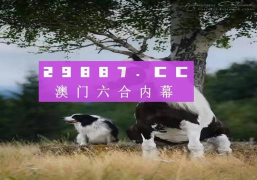 2024新澳门跑狗图今晚管家婆,精细化实施分析_IJZ94.725可穿戴设备版