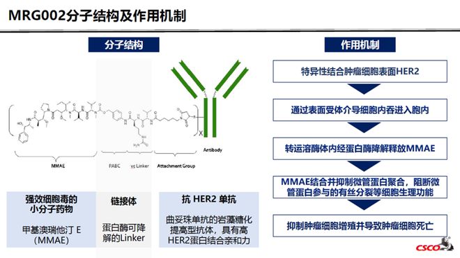 新澳免资料费开奖,数据整合决策_VKY94.418艺术版