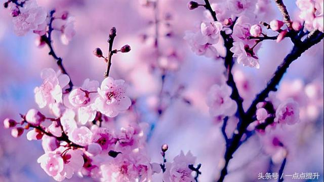 春暖花开科技新品惊艳登场，智能生活体验新纪元！