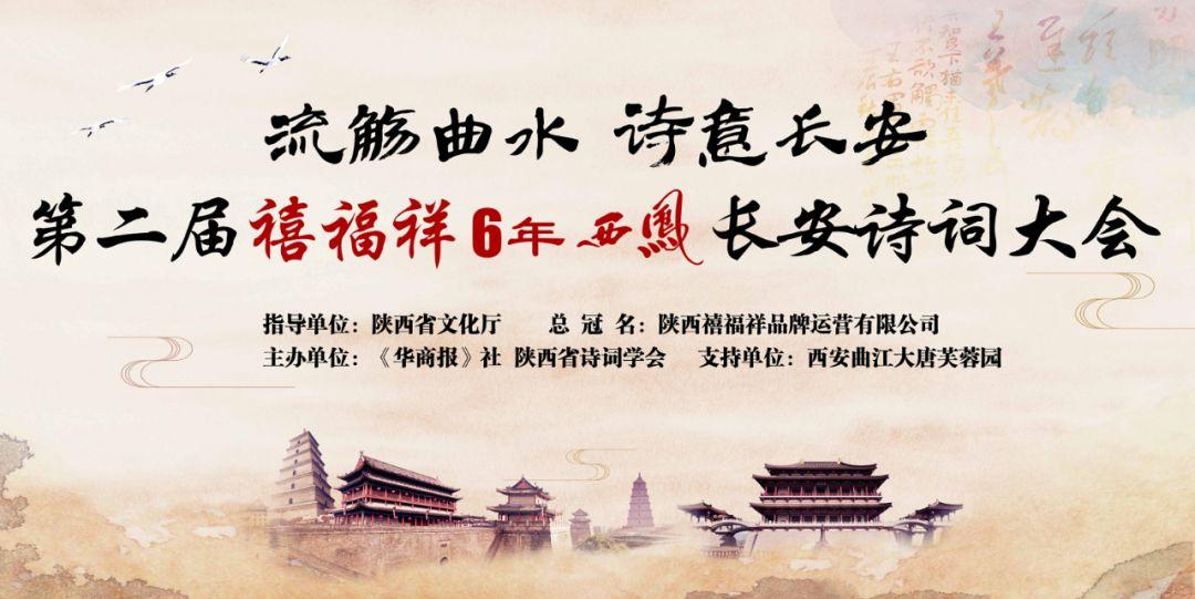西凤酒最新动态，古韵新生，成就感的源泉，自信闪耀时刻